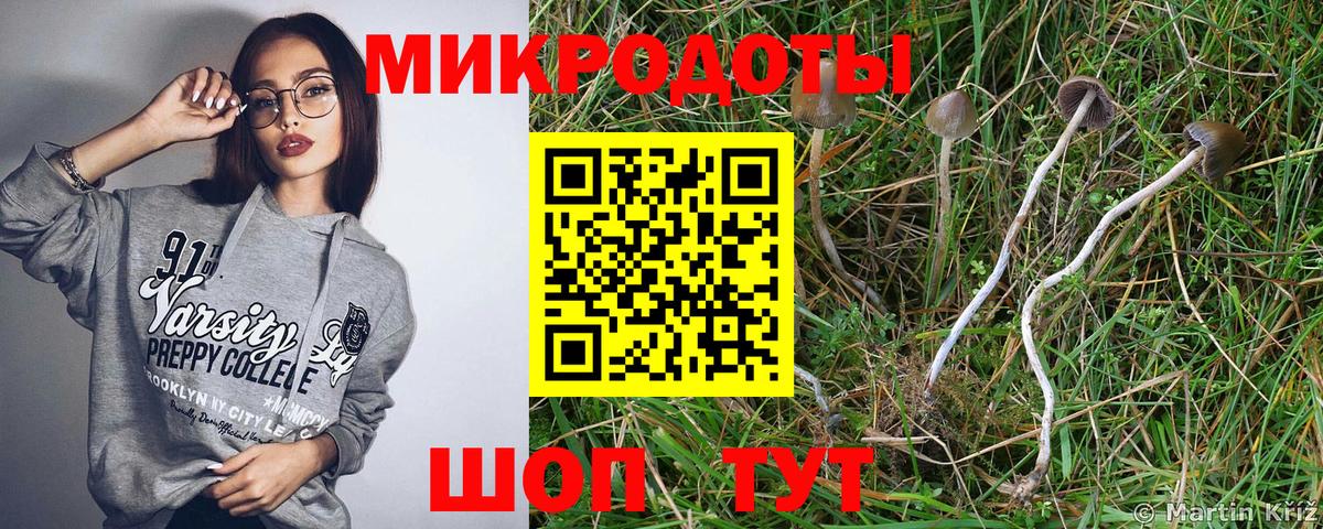 Галлюциногенные грибы мухоморы Ухта